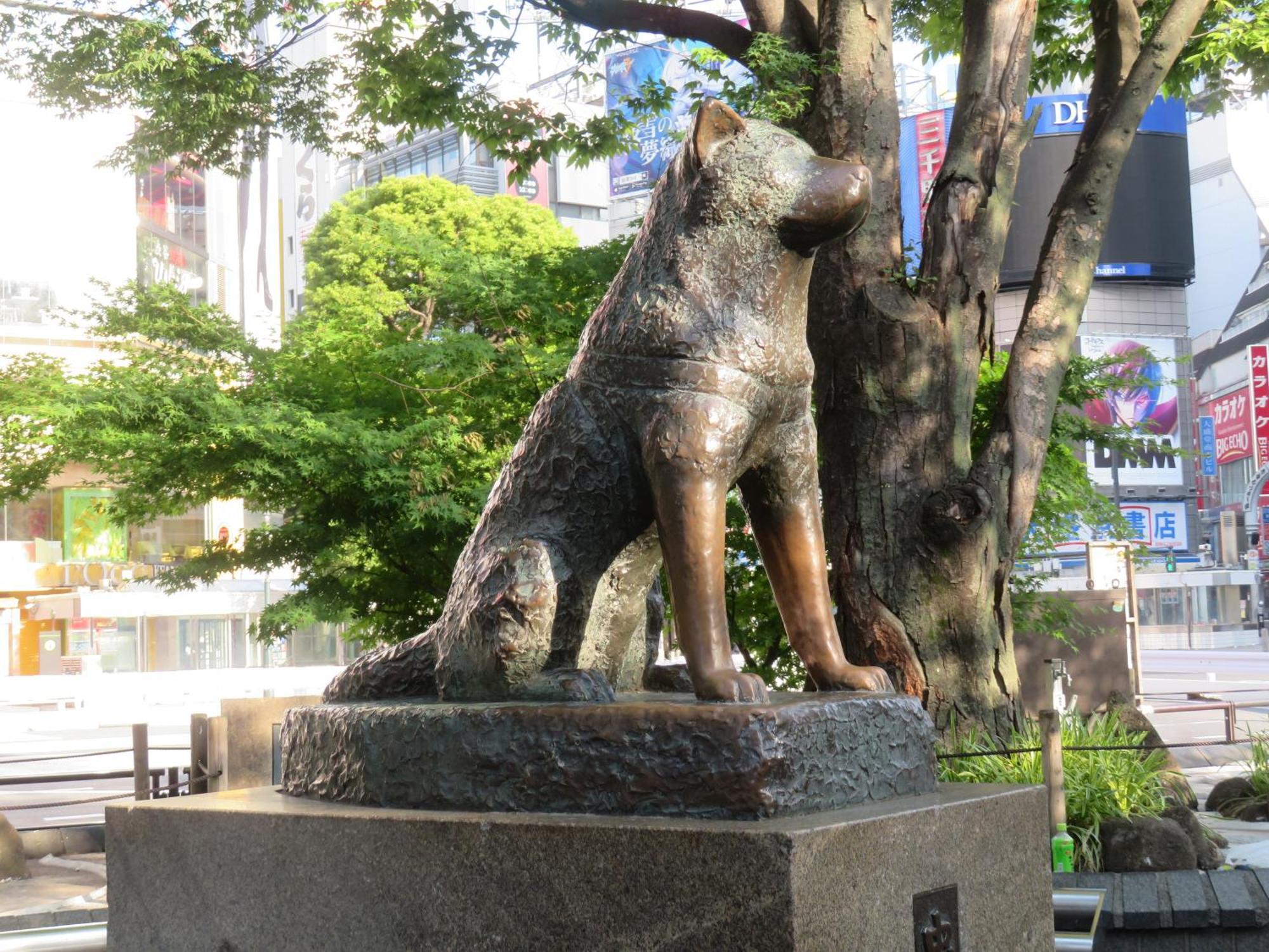 Apa Shibuya Dogenzakaue 酒店
