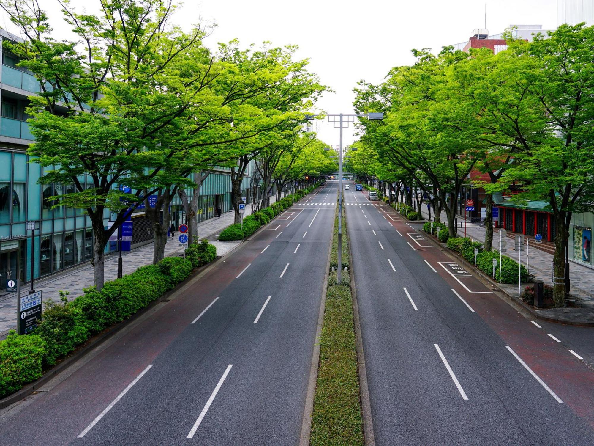 โรงแรมอะป้า ชิบุยะ-โดะเงนซากะ-อุเอะ 3* โตเกียว